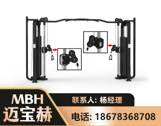 金华大飞鸟训练器